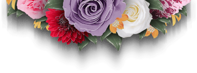 bg 08 free img